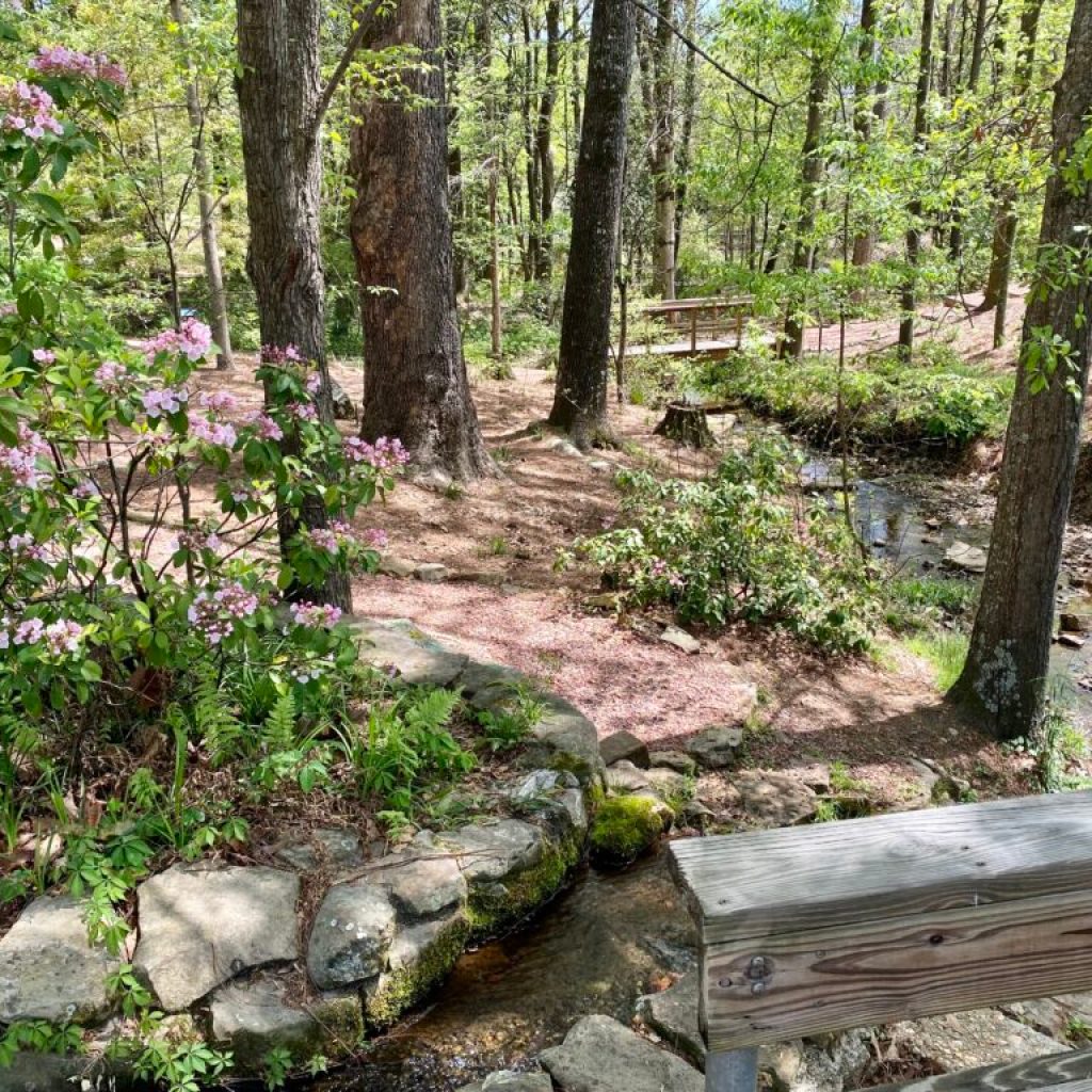 Auburn’s Davis Arboretum ranks among the 30 most beautiful college arboretums in the country Auburn’s Davis Arboretum ranks among the 30 most beautiful college arboretums in the country