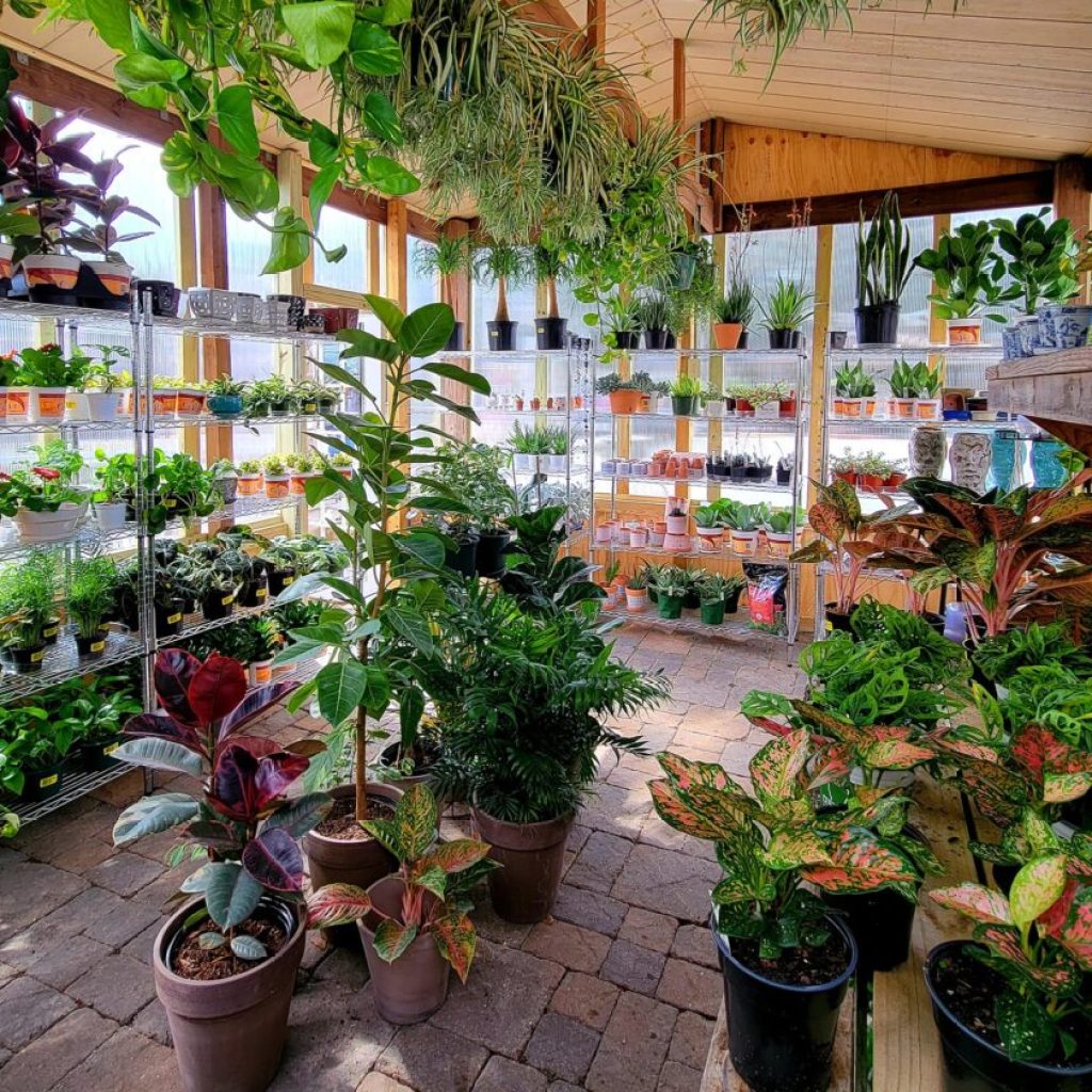 9 garden centers on the Gulf Coast to get your spring garden started 9 garden centers on the Gulf Coast to get your spring garden started