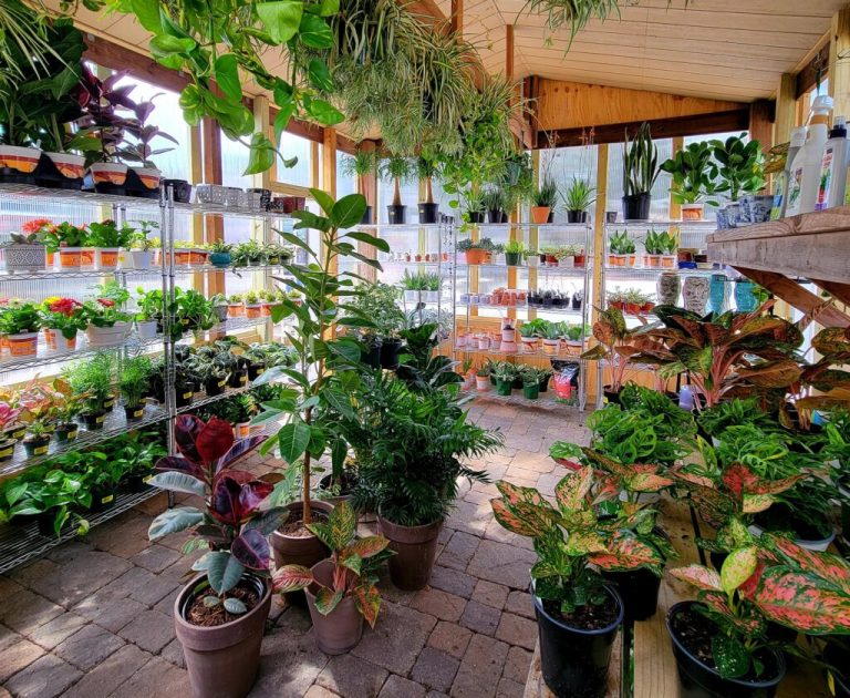 9 garden centers on the Gulf Coast to get your spring garden started 9 garden centers on the Gulf Coast to get your spring garden started