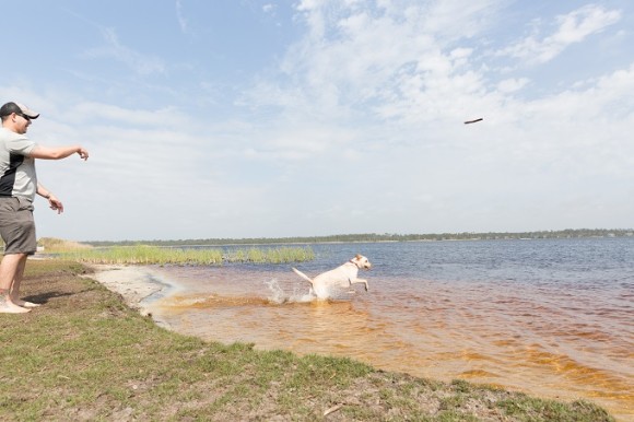 How to have the best pet-friendly vacation on Alabama’s beaches How to have the best pet-friendly vacation on Alabama’s beaches