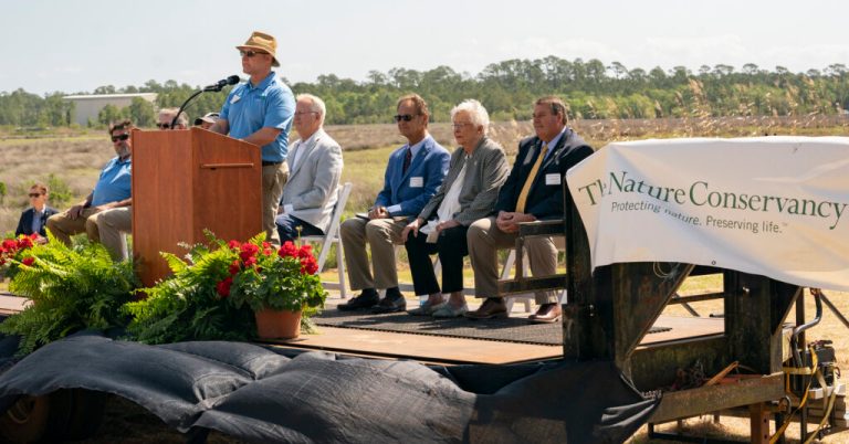 Nature Conservancy wins Gulf Guardian Award for coastal restoration partnership Nature Conservancy wins Gulf Guardian Award for coastal restoration partnership