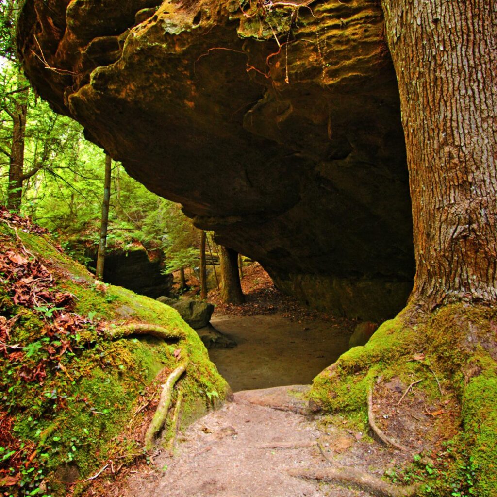 This Alabama town is glowing in the dark—find out why This Alabama town is glowing in the dark—find out why