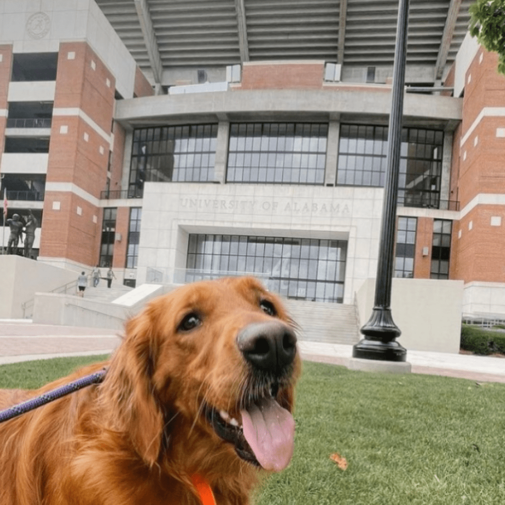Tuscaloosa named among top 20 fastest-growing dog friendly cities Tuscaloosa named among top 20 fastest-growing dog friendly cities