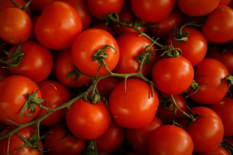 Love tomatoes? Cast your vote for Bama’s Best Tomato Dish Love tomatoes? Cast your vote for Bama’s Best Tomato Dish