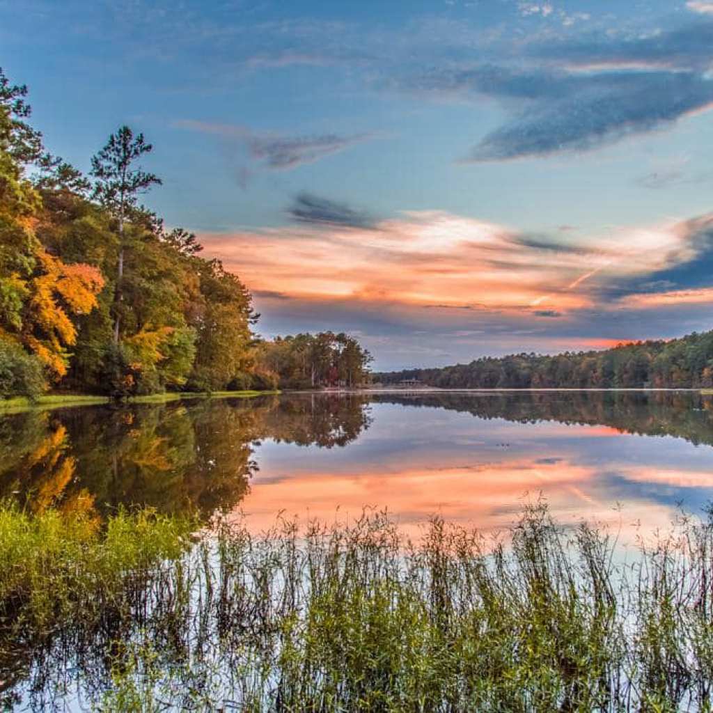 Oak Mountain State Park’s New Color Corrective Viewfinders Help Those With Color Blindness Oak Mountain State Park’s New Color Corrective Viewfinders Help Those With Color Blindness