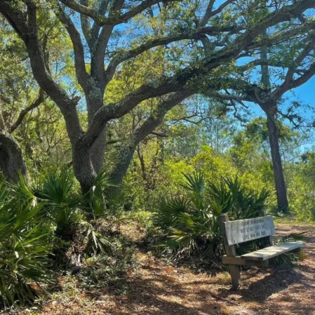 USA Today names Gulf State Park one of the best state parks for camping + RVing USA Today names Gulf State Park one of the best state parks for camping + RVing