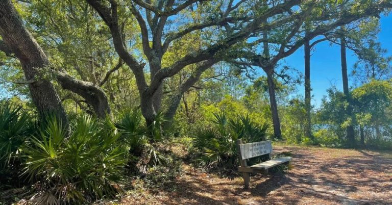 6 great hikes within an hour’s drive of Mobile 6 great hikes within an hour’s drive of Mobile