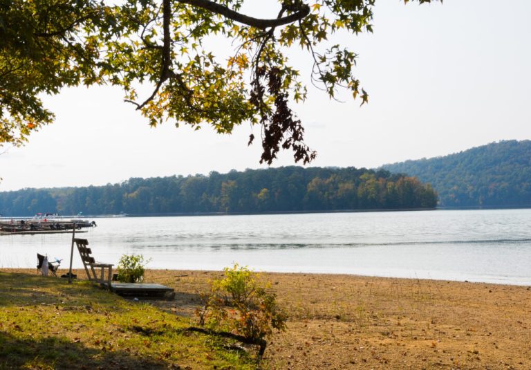 The top 13 most rural counties in Alabama + hidden gems they have to offer The top 13 most rural counties in Alabama + hidden gems they have to offer