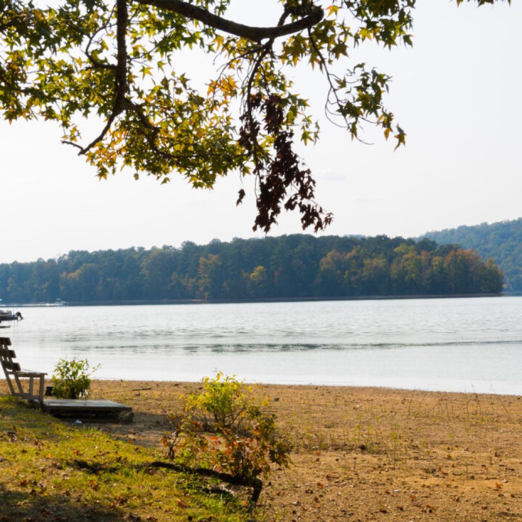 The top 13 most rural counties in Alabama + hidden gems they have to offer The top 13 most rural counties in Alabama + hidden gems they have to offer