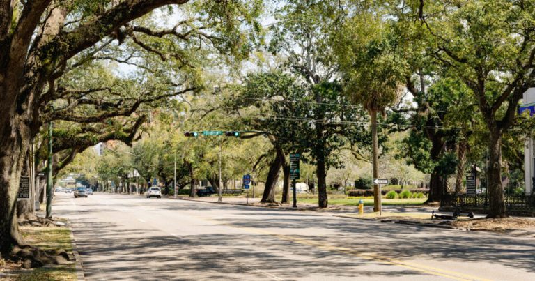 New assessment ordered for every road in Mobile city limits New assessment ordered for every road in Mobile city limits