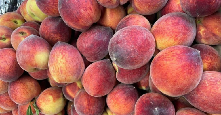 4 spots to buy fresh local produce in Auburn & Opelika 4 spots to buy fresh local produce in Auburn & Opelika