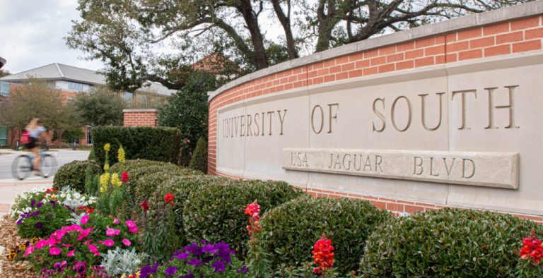 Satellite launched into space by the University of South Alabama Satellite launched into space by the University of South Alabama