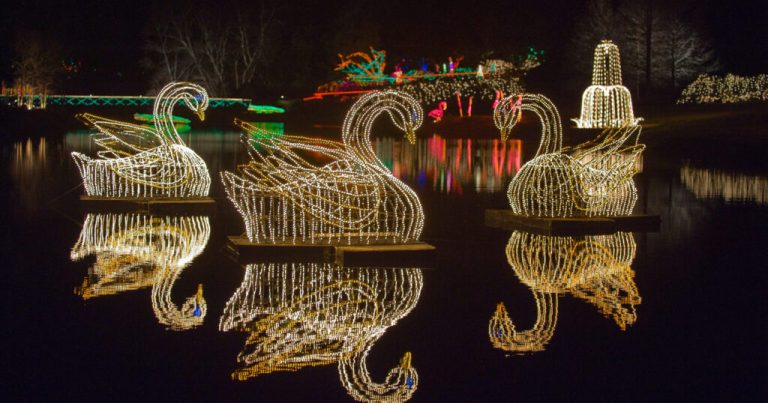 16 holiday light shows in Alabama you’ll want to see this season 16 holiday light shows in Alabama you’ll want to see this season