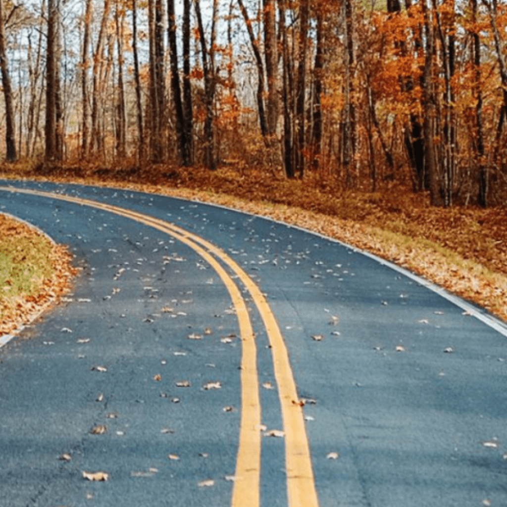 Don’t miss out on the World’s Longest Yard Sale, coming to Alabama August 4-7 Don’t miss out on the World’s Longest Yard Sale, coming to Alabama August 4-7