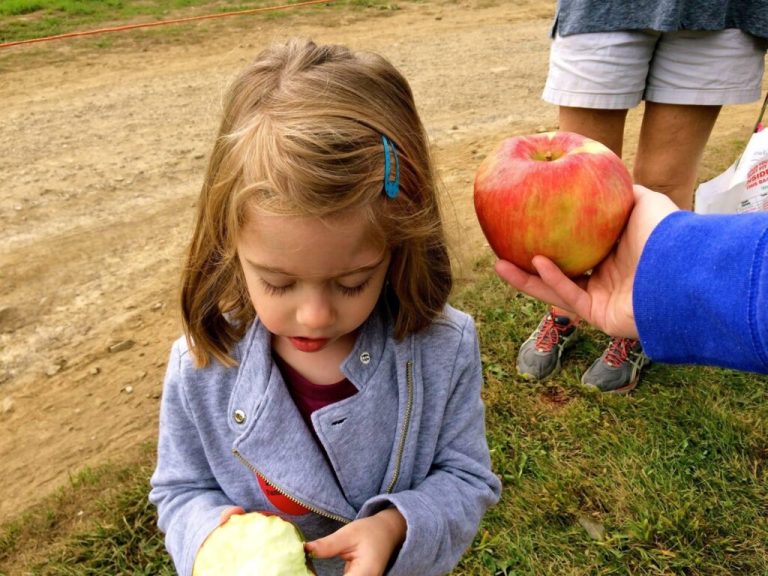 5 U-Pick apple farms across Alabama to sweeten your fall 5 U-Pick apple farms across Alabama to sweeten your fall