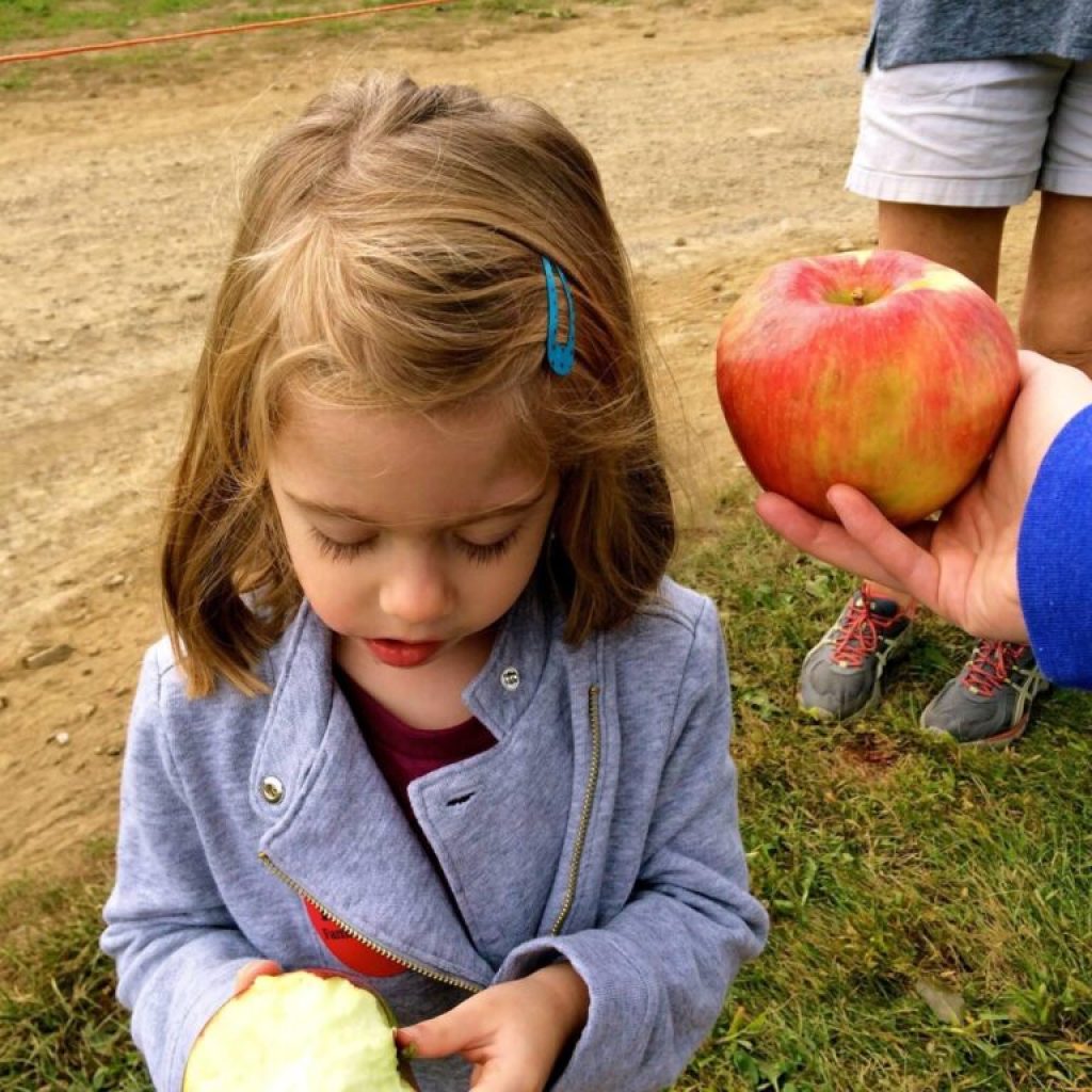 5 U-Pick apple farms across Alabama to sweeten your fall 5 U-Pick apple farms across Alabama to sweeten your fall