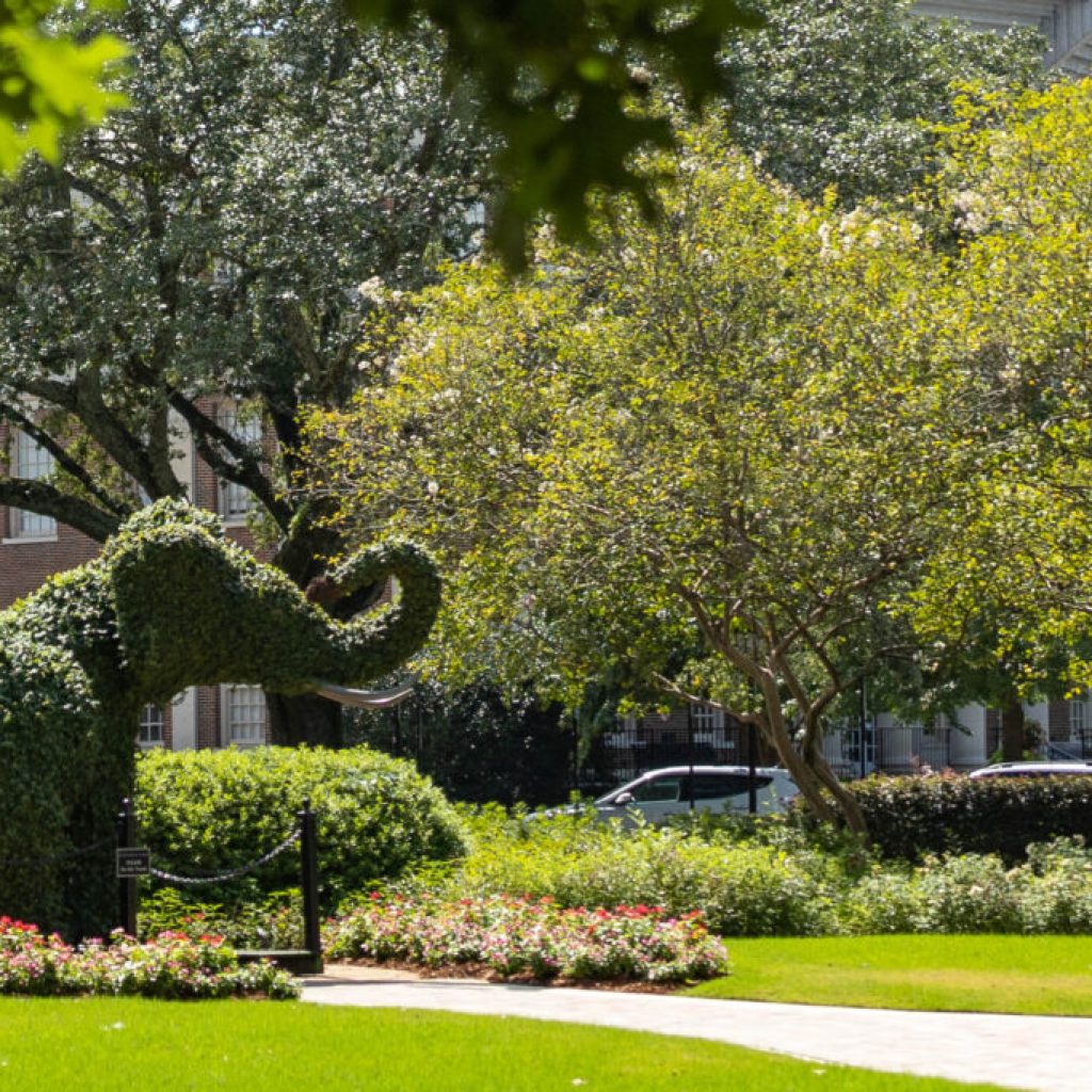 NEW: Travel + Leisure names Tuscaloosa among best college towns and cities in the US NEW: Travel + Leisure names Tuscaloosa among best college towns and cities in the US