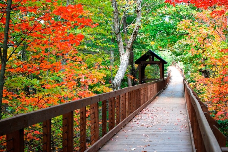 2 Alabama towns named beautiful fall foliage spots—see who made the list 2 Alabama towns named beautiful fall foliage spots—see who made the list