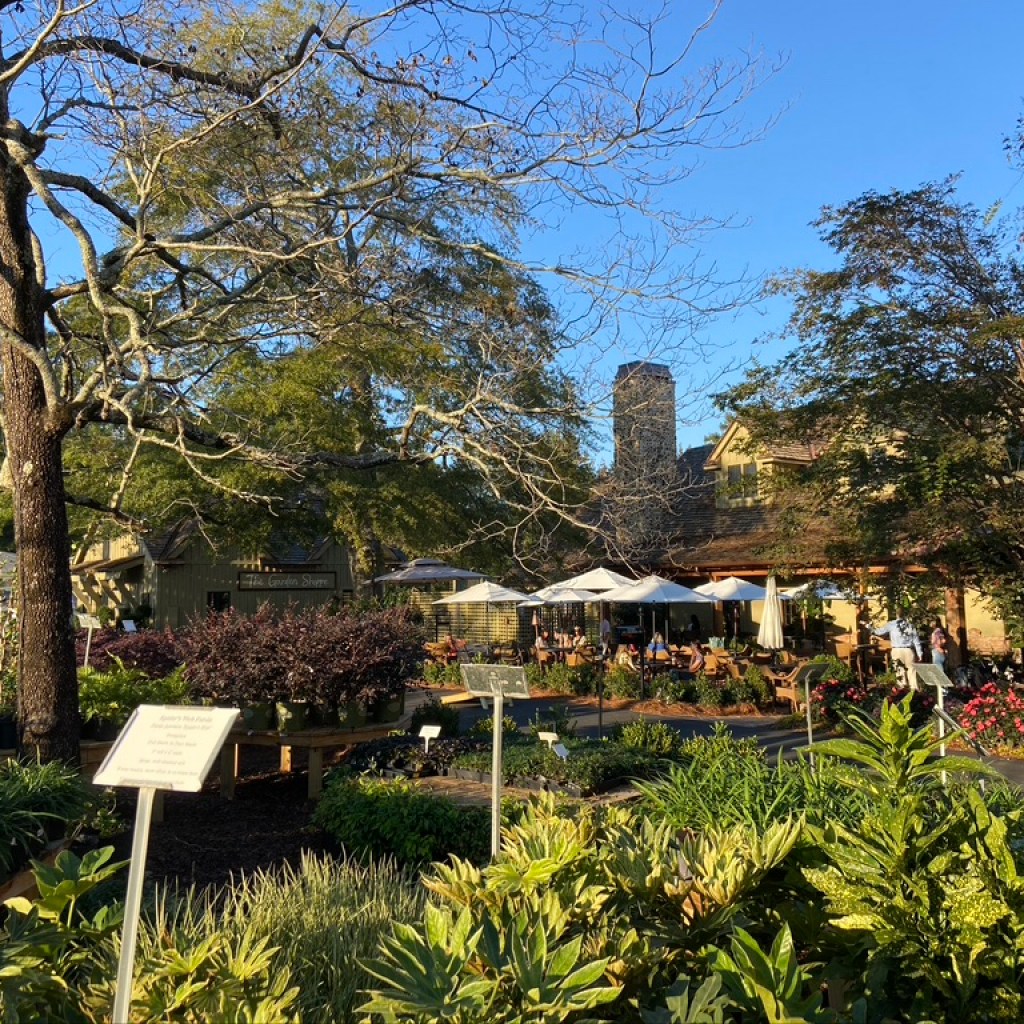 NEW OPENING: Botanic is the newest community destination in Opelika NEW OPENING: Botanic is the newest community destination in Opelika