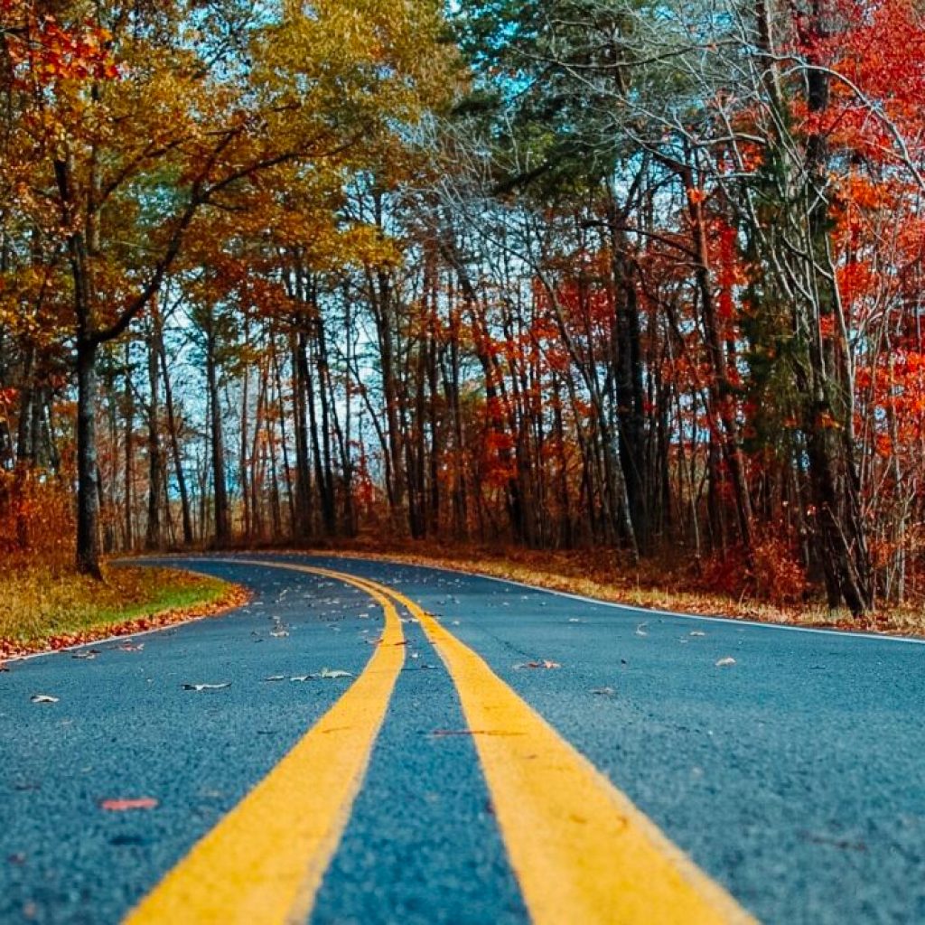 9 spots to see stunning fall foliage in Alabama 9 spots to see stunning fall foliage in Alabama