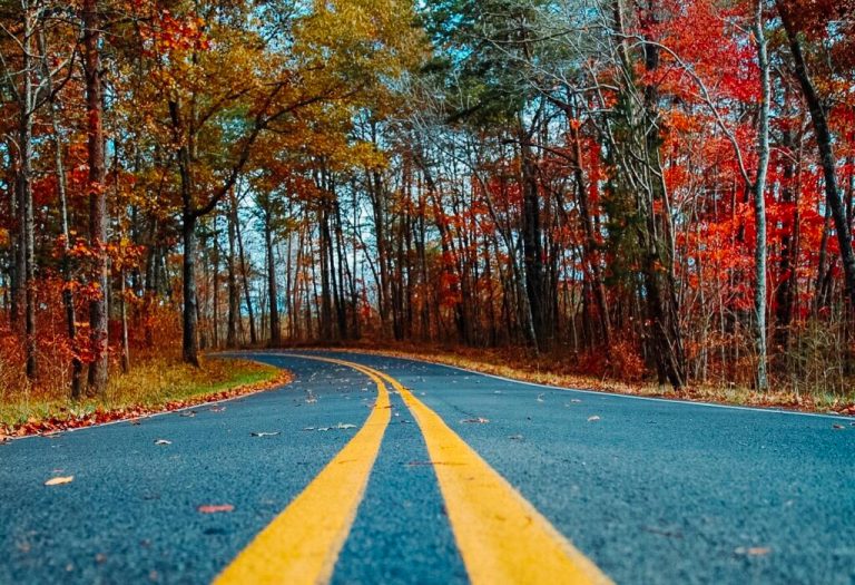 9 spots to see stunning fall foliage in Alabama 9 spots to see stunning fall foliage in Alabama