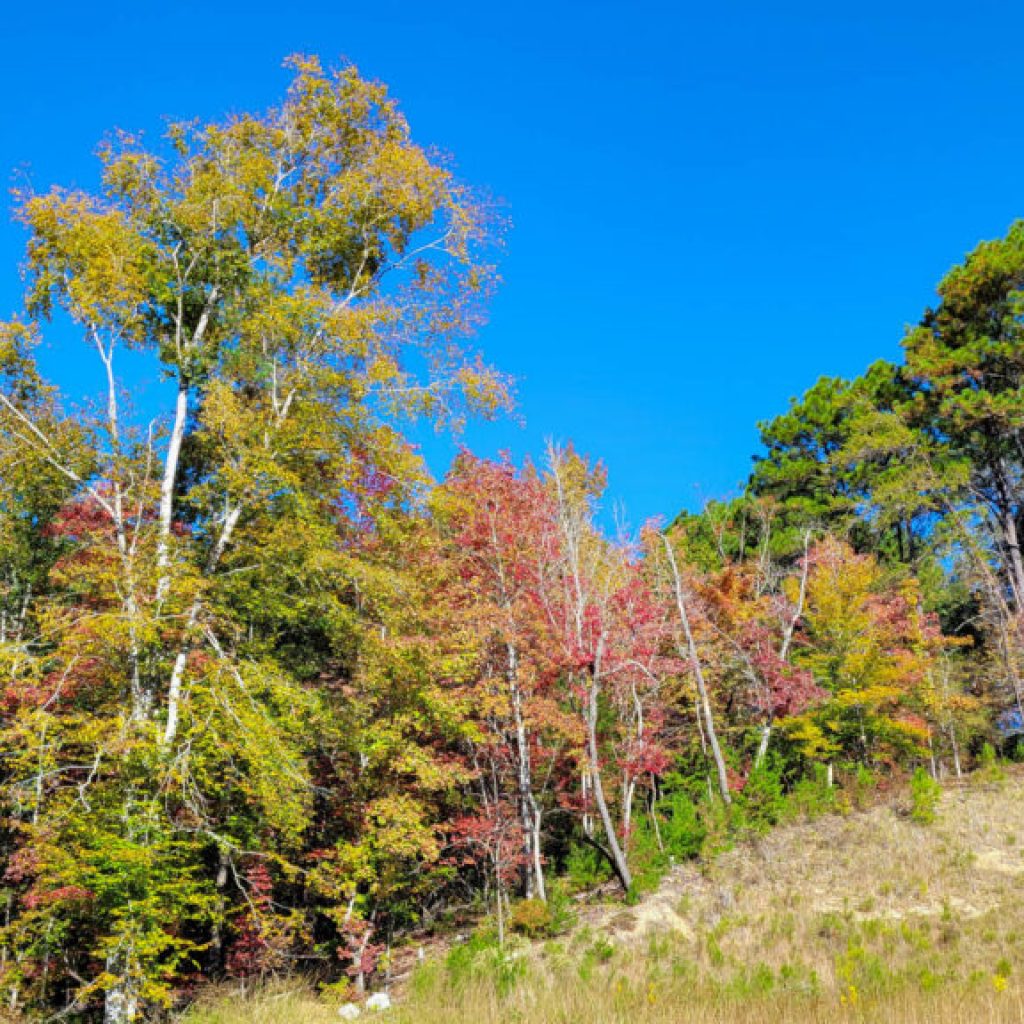 Drought conditions worsen in Alabama after dry September Drought conditions worsen in Alabama after dry September