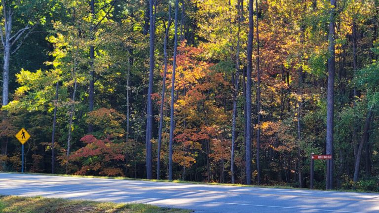 Alabama hotspots featured on E Magazine’s ultimate Southeastern road trip itinerary Alabama hotspots featured on E Magazine’s ultimate Southeastern road trip itinerary