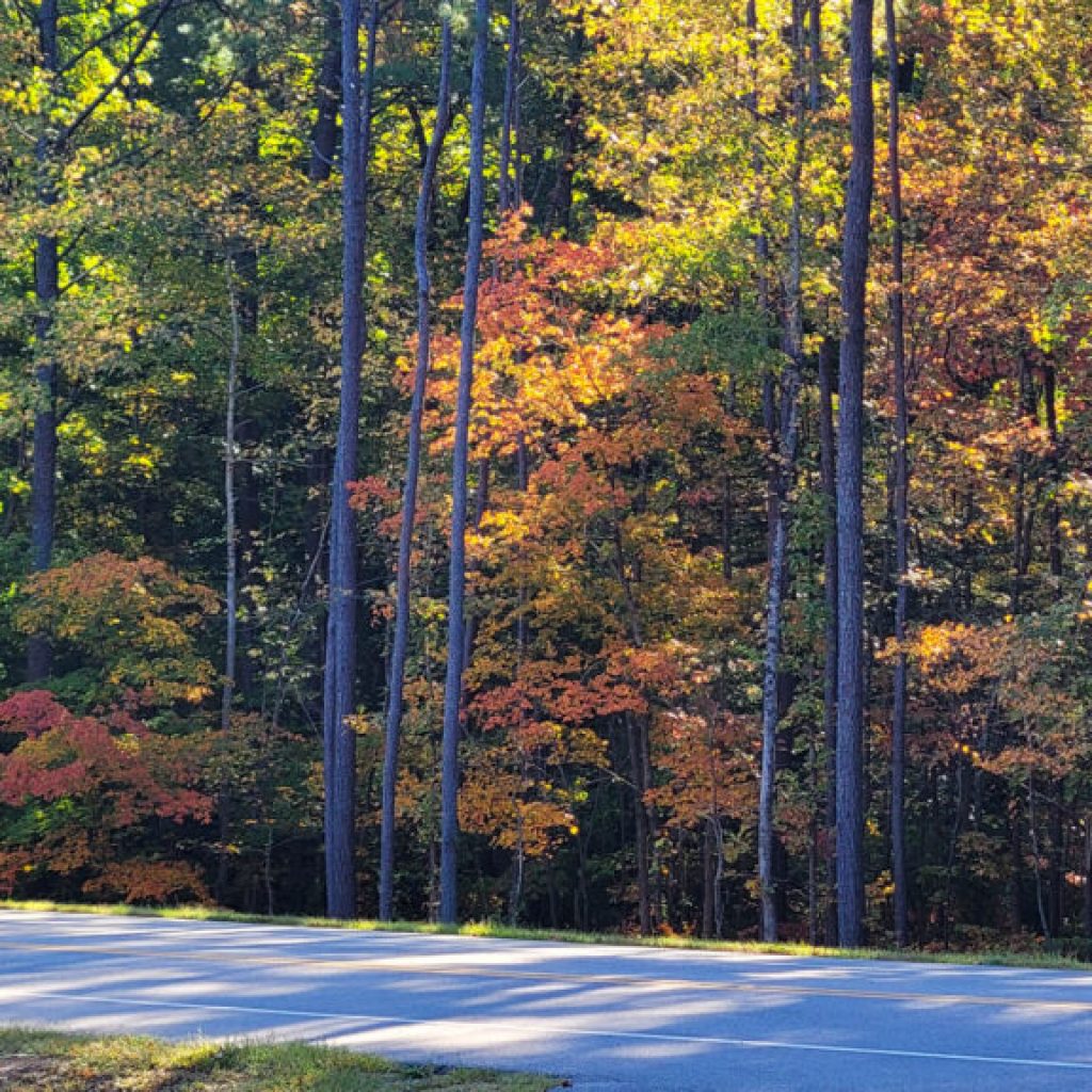 Alabama hotspots featured on E Magazine’s ultimate Southeastern road trip itinerary Alabama hotspots featured on E Magazine’s ultimate Southeastern road trip itinerary