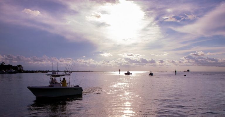 Final Alabama Gulf Coast Deepwater Horizon restoration grants awarded Final Alabama Gulf Coast Deepwater Horizon restoration grants awarded