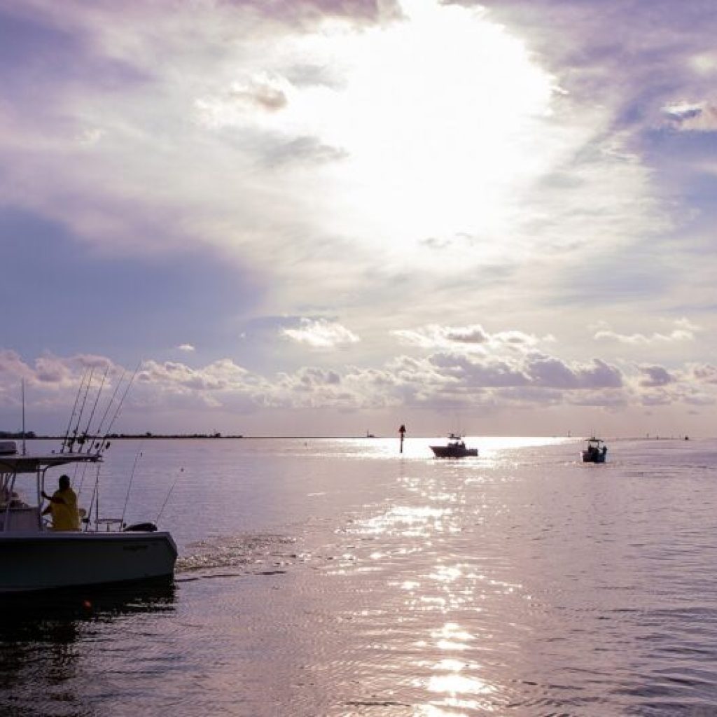 Final Alabama Gulf Coast Deepwater Horizon restoration grants awarded Final Alabama Gulf Coast Deepwater Horizon restoration grants awarded