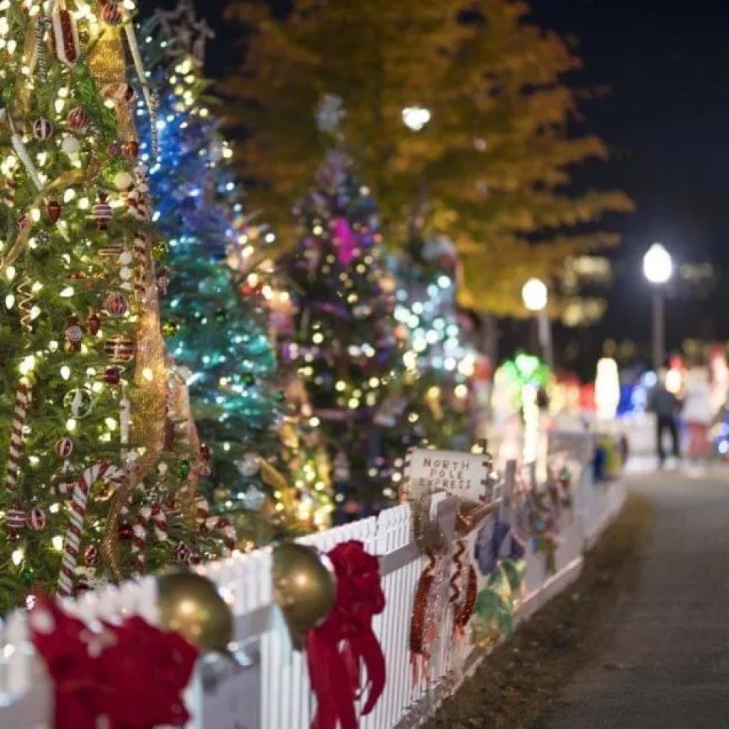The best Christmas lights in Tuscaloosa, including the Tinsel Trail The best Christmas lights in Tuscaloosa, including the Tinsel Trail