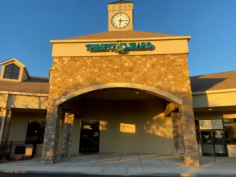 NEW AUBURN THRIFT STORE: Thrifty Lizard, plus their upcoming “bin store” event NEW AUBURN THRIFT STORE: Thrifty Lizard, plus their upcoming “bin store” event