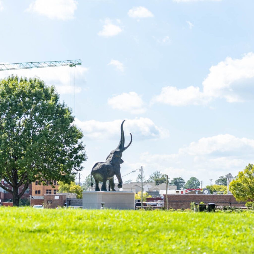 The University of Alabama experiences another record-breaking year: outside support for research doubles in 4 years The University of Alabama experiences another record-breaking year: outside support for research doubles in 4 years