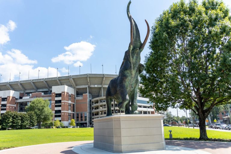 UA Taps New Leader for Innovation & Social Impact Center UA Taps New Leader for Innovation & Social Impact Center