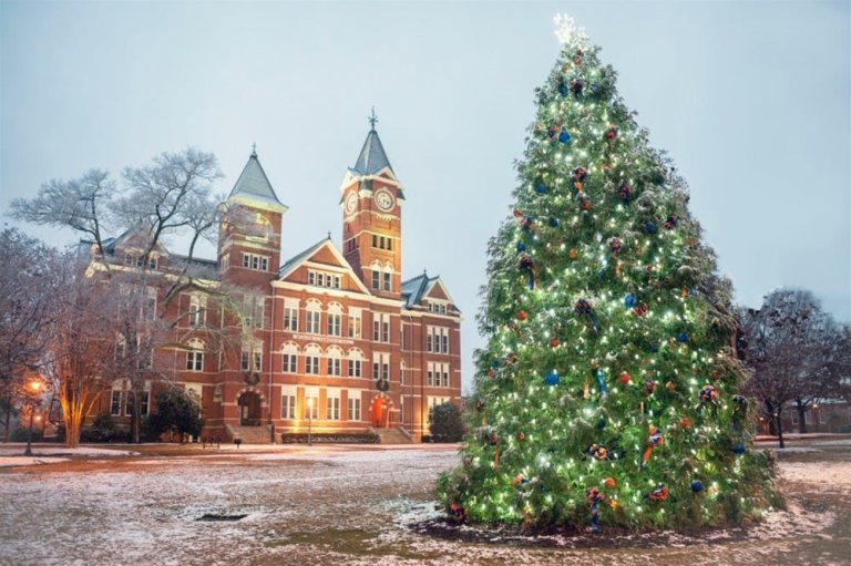 4 Auburn holiday shopping events: Blue Friday, Museum Store Sunday, Holiday Market + more 4 Auburn holiday shopping events: Blue Friday, Museum Store Sunday, Holiday Market + more