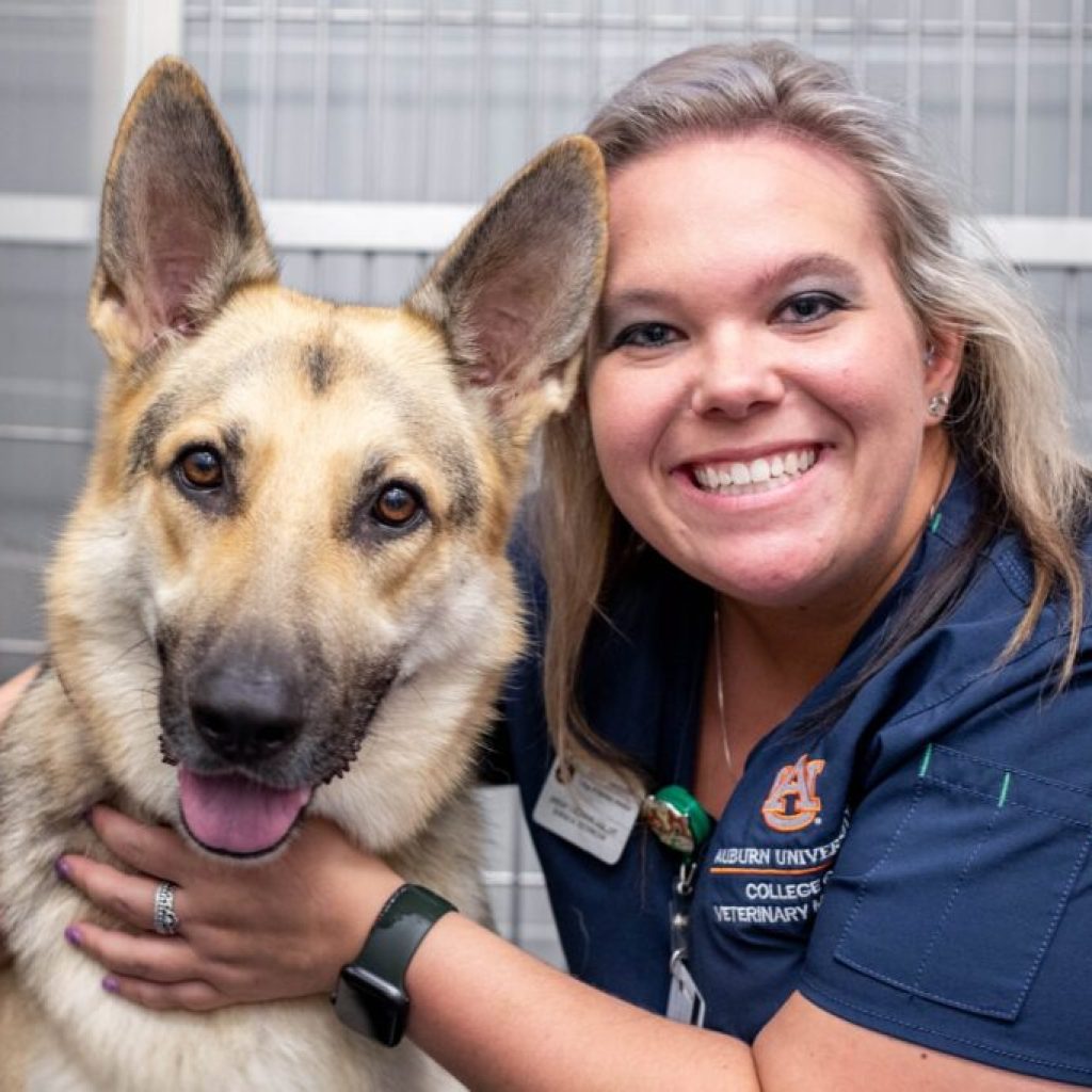 7 ER vet clinics in Alabama open for the holidays 7 ER vet clinics in Alabama open for the holidays