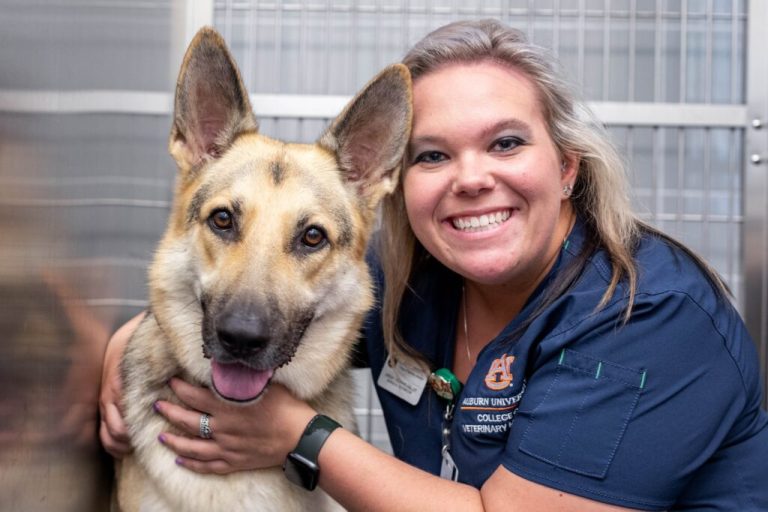7 ER vet clinics in Alabama open for the holidays 7 ER vet clinics in Alabama open for the holidays