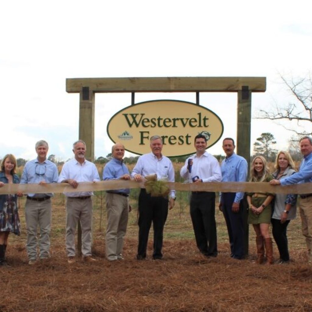 3 things to know about Alabama Wildlife Federation’s Westervelt Forest 3 things to know about Alabama Wildlife Federation’s Westervelt Forest