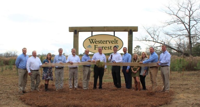 3 things to know about Alabama Wildlife Federation’s Westervelt Forest 3 things to know about Alabama Wildlife Federation’s Westervelt Forest