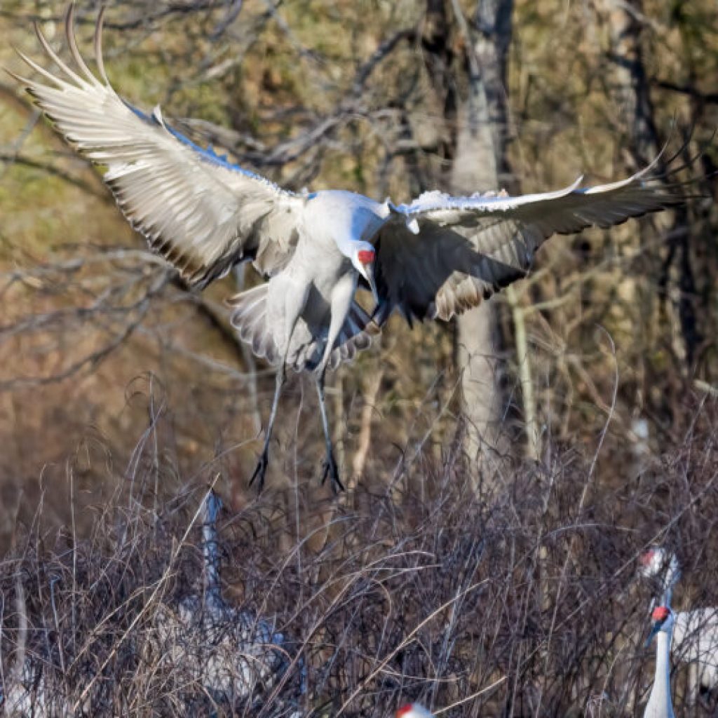 How to make 2023 your healthiest year yet on these 6 accessible Alabama trails How to make 2023 your healthiest year yet on these 6 accessible Alabama trails