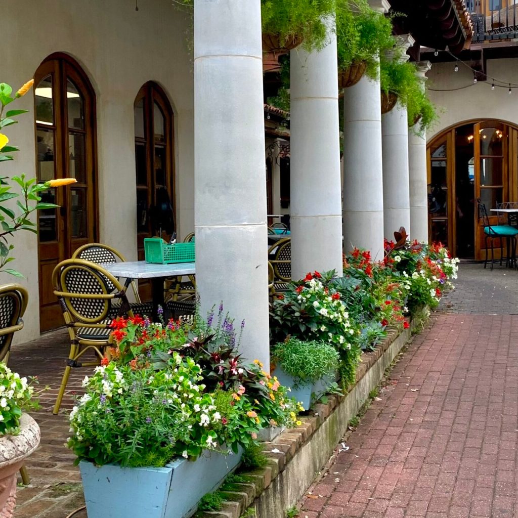 NEW OPENINGS: 8 new local businesses on the Eastern Shore NEW OPENINGS: 8 new local businesses on the Eastern Shore