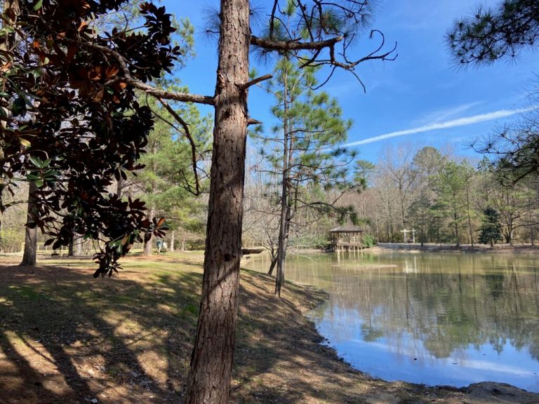 7 hiking and walking trails in Auburn 7 hiking and walking trails in Auburn