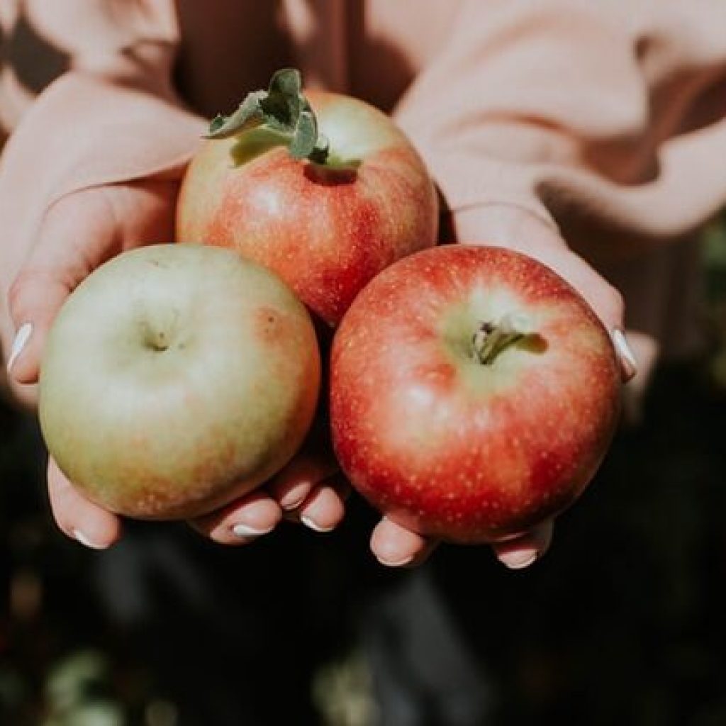 6 farmers’ markets to find fresh produce on Alabama’s Gulf Coast 6 farmers’ markets to find fresh produce on Alabama’s Gulf Coast