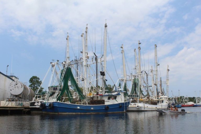 Small town in Alabama named one of the top fishing destinations in the United States Small town in Alabama named one of the top fishing destinations in the United States