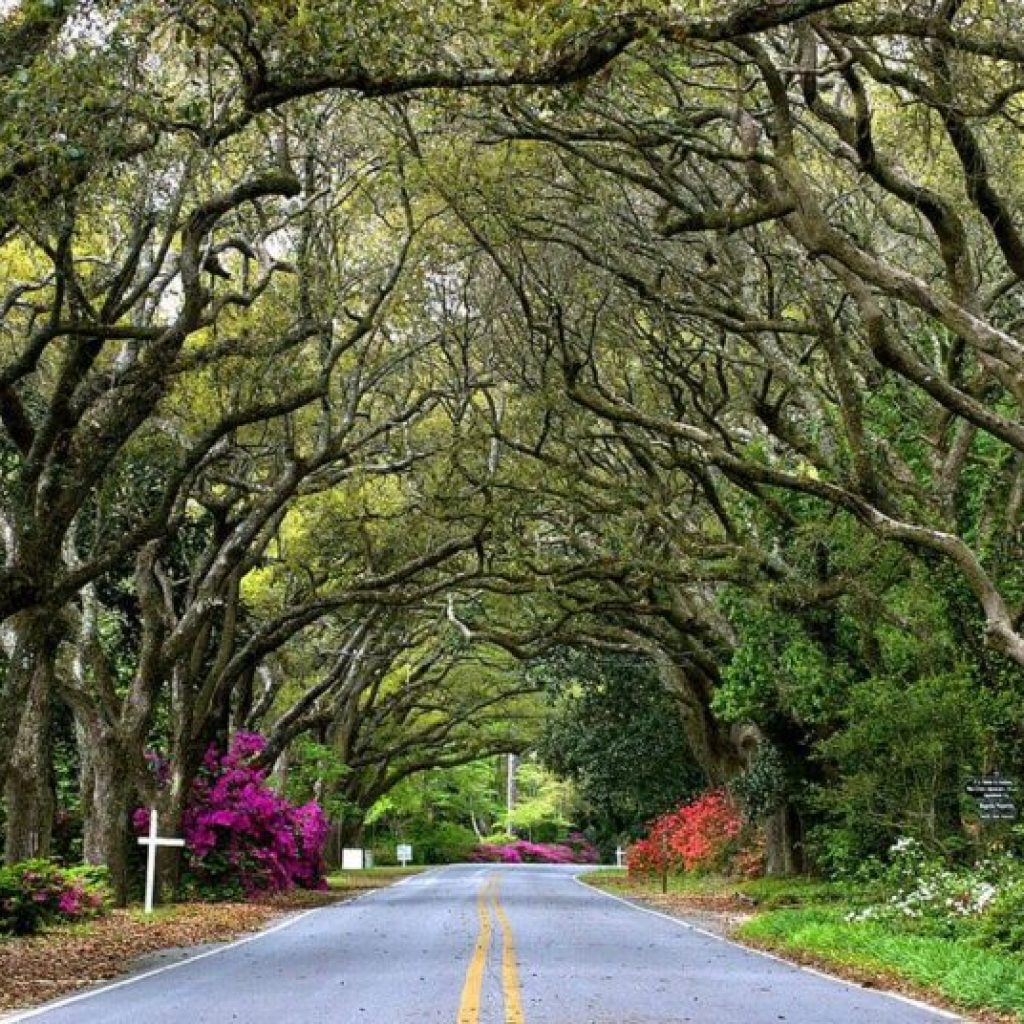 WorldAtlas names Alabama’s best small towns for outdoor enthusiasts WorldAtlas names Alabama’s best small towns for outdoor enthusiasts