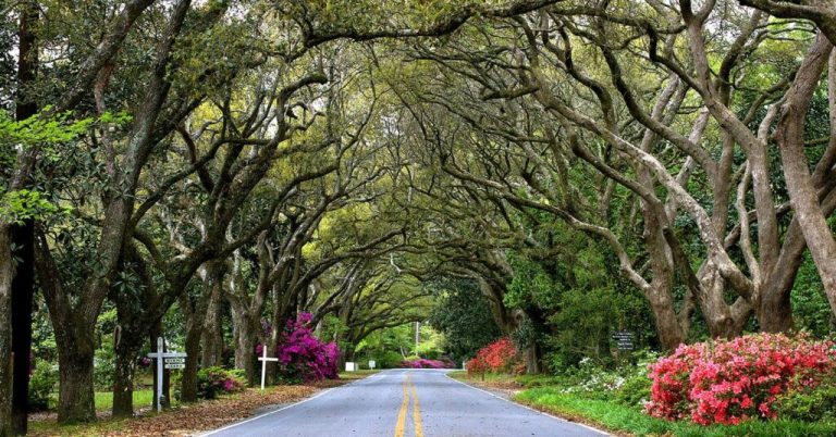 WorldAtlas names Alabama’s best small towns for outdoor enthusiasts WorldAtlas names Alabama’s best small towns for outdoor enthusiasts