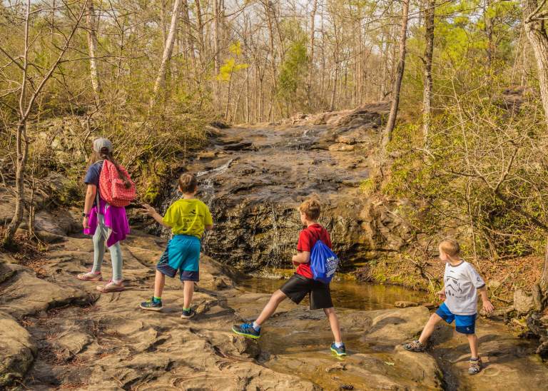 How 3 organizations keep Alabama beautiful for future generations How 3 organizations keep Alabama beautiful for future generations