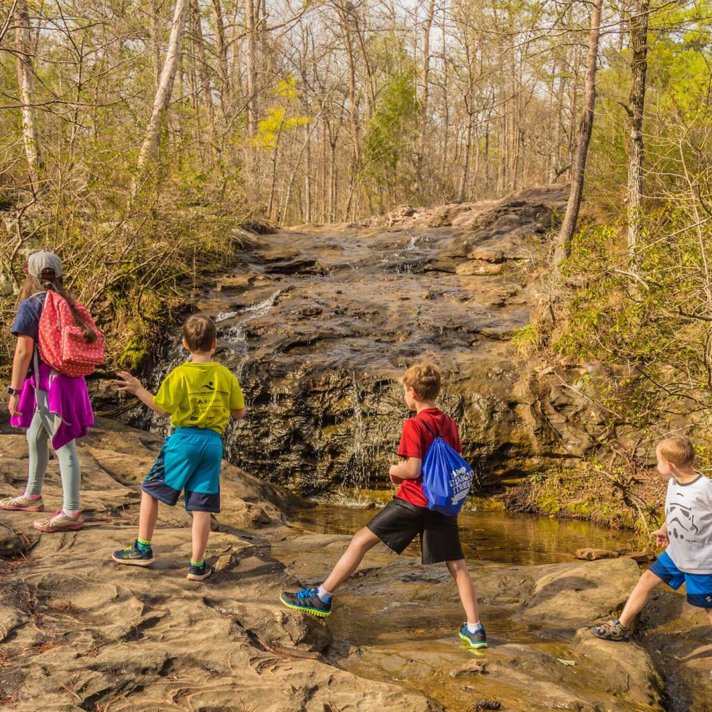 How 3 organizations keep Alabama beautiful for future generations How 3 organizations keep Alabama beautiful for future generations