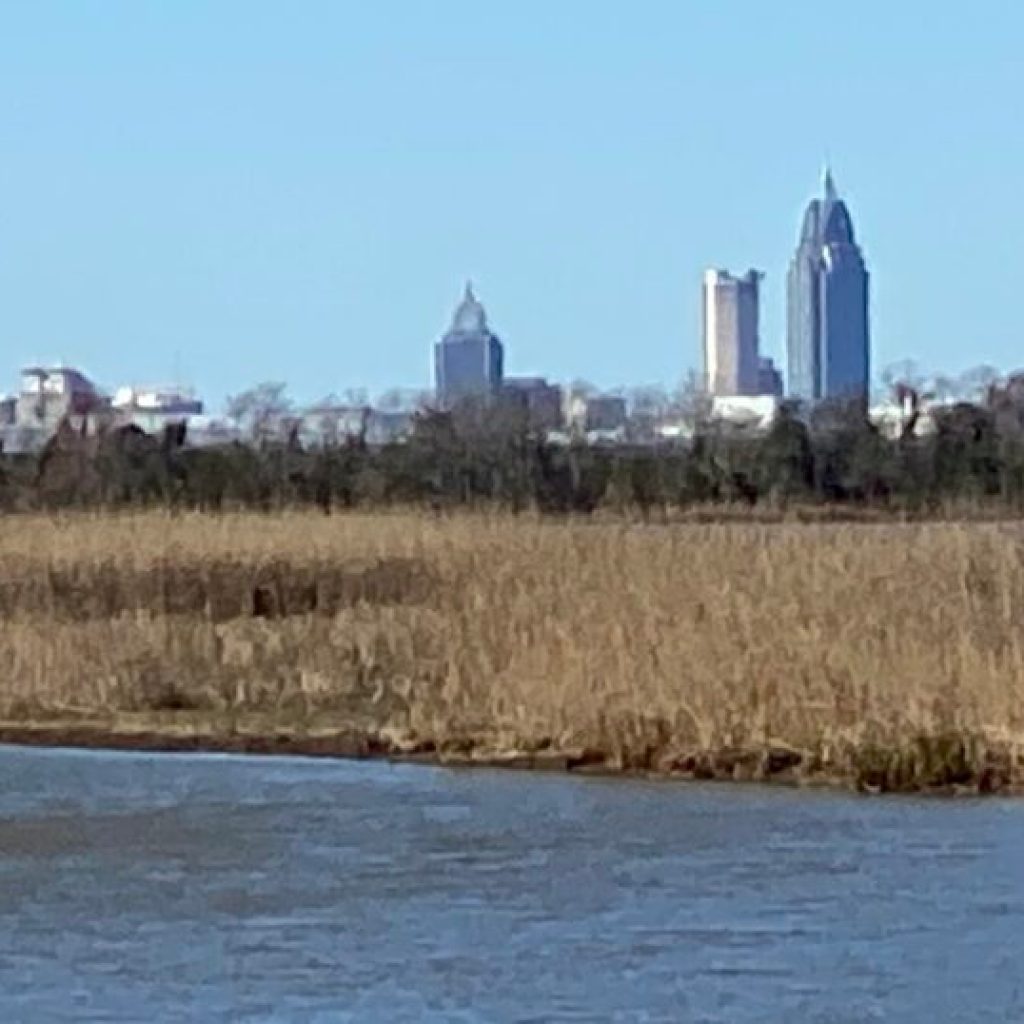Mobile Bay National Estuary Program names new director Mobile Bay National Estuary Program names new director