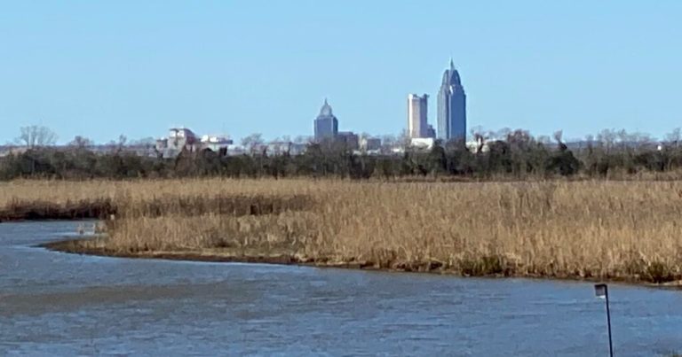 Mobile Bay National Estuary Program names new director Mobile Bay National Estuary Program names new director